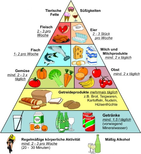 Ernährungspyramide der DGE (Deutsche Gesellschaft für Ernährung). Quelle: de.wikipedia.org